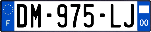 DM-975-LJ