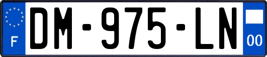 DM-975-LN
