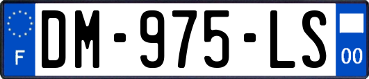 DM-975-LS