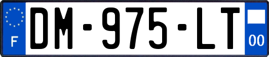 DM-975-LT