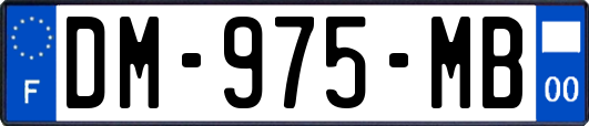 DM-975-MB