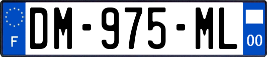 DM-975-ML