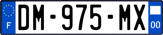 DM-975-MX
