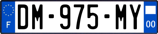 DM-975-MY