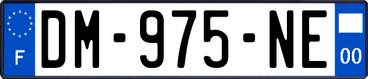 DM-975-NE