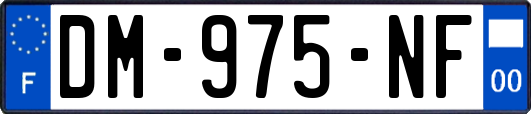 DM-975-NF