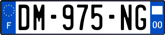DM-975-NG