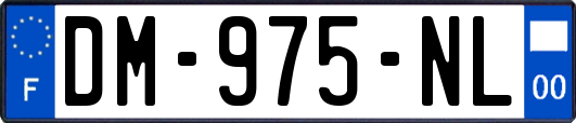 DM-975-NL