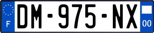 DM-975-NX