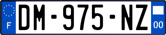 DM-975-NZ