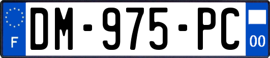 DM-975-PC
