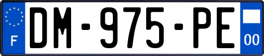 DM-975-PE