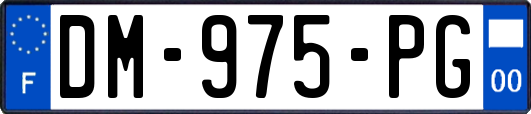 DM-975-PG