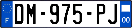 DM-975-PJ