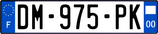 DM-975-PK