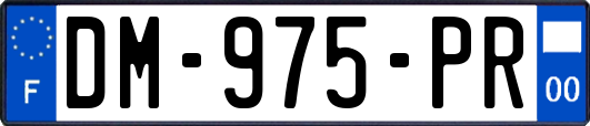 DM-975-PR
