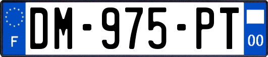 DM-975-PT