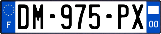 DM-975-PX