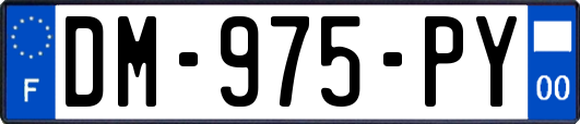 DM-975-PY