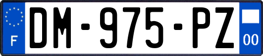 DM-975-PZ