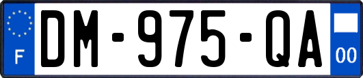 DM-975-QA