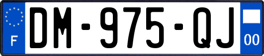 DM-975-QJ