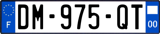 DM-975-QT