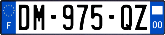 DM-975-QZ
