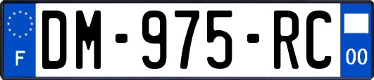 DM-975-RC