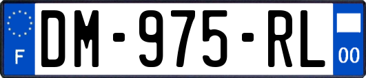 DM-975-RL