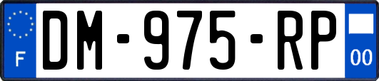 DM-975-RP