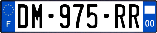 DM-975-RR