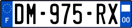 DM-975-RX
