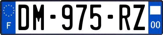 DM-975-RZ