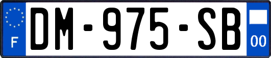 DM-975-SB