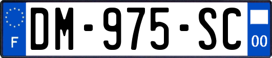 DM-975-SC
