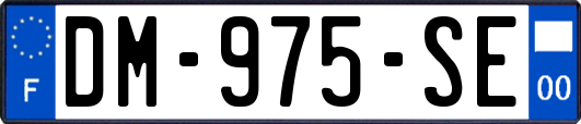DM-975-SE