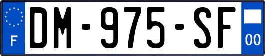 DM-975-SF