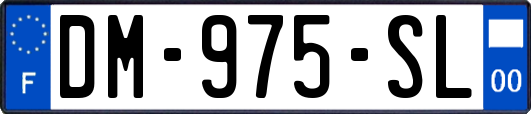 DM-975-SL