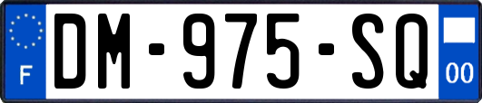 DM-975-SQ