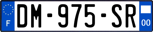 DM-975-SR