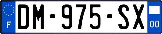 DM-975-SX