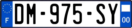DM-975-SY