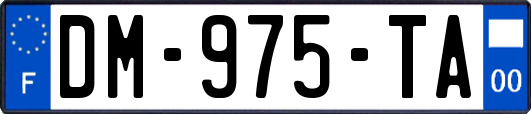 DM-975-TA