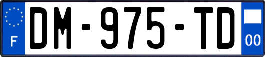 DM-975-TD