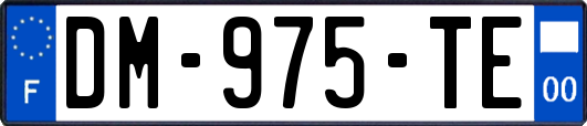 DM-975-TE