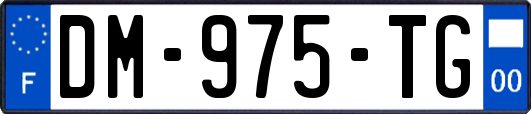 DM-975-TG