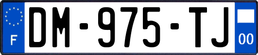 DM-975-TJ