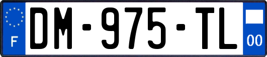 DM-975-TL