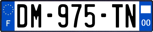 DM-975-TN